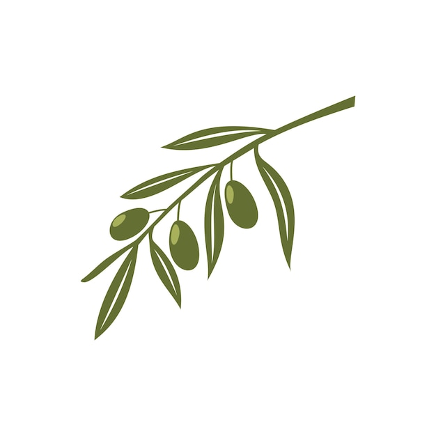 Green Olive Branch Icon Vector Logo Template