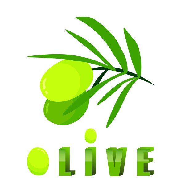 Green olive branch with fruits Cartoon illustration isolated on white background Vector colorful fresh organic healthy natural food Olive oil logo branding design element 3d green font