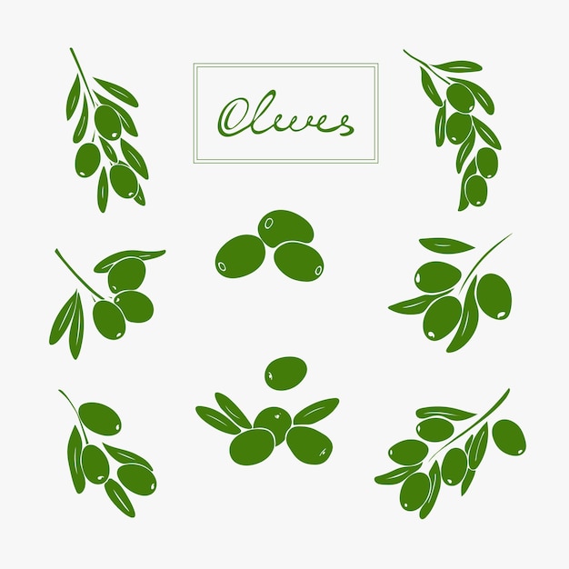Green Olive branches Silhouette Vector illustration Isolated on a light background