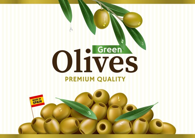 Decorativi Etichette Di Olio Di Oliva In Stile Vintage Vettore Premium