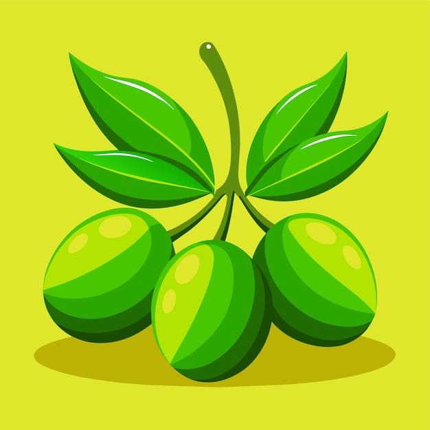 Green olive vector illustration