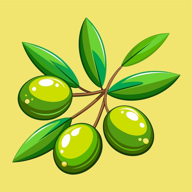 Green olive vector illustration