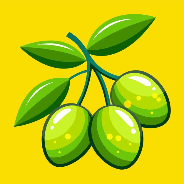 Green olive vector illustration