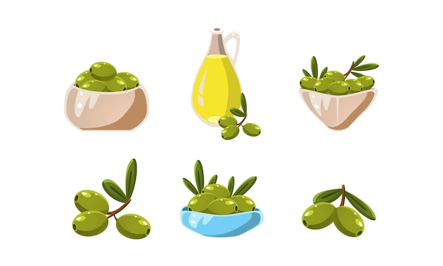 Green olives and oil set healthy organic product vector illustration isolated on a white background