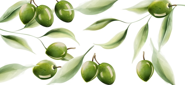 Зеленые оливки с листьями и светоотражающей структурой
