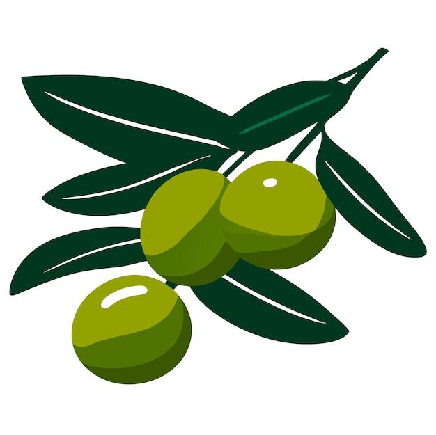 Vector green olives with leaves vector illustration