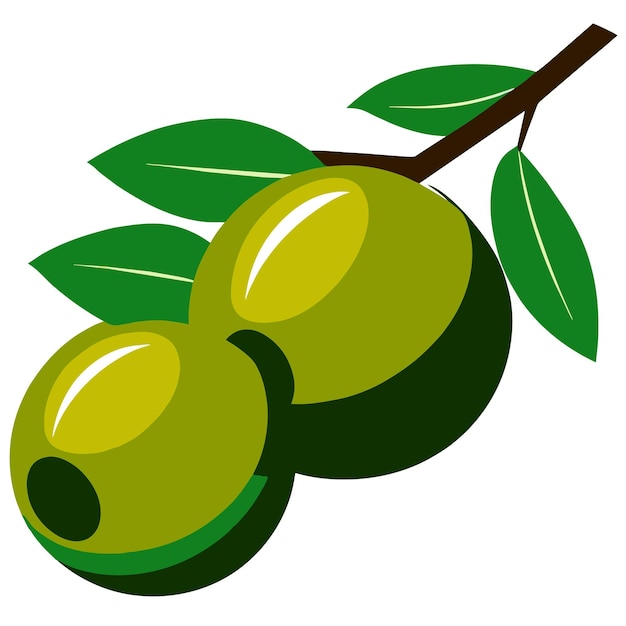 Green olives with leaves vector illustration