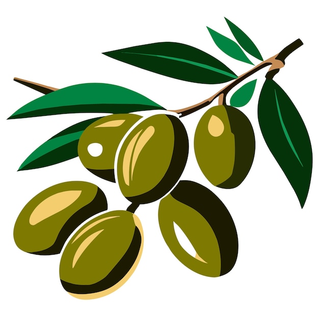 Green olives with leaves vector illustration