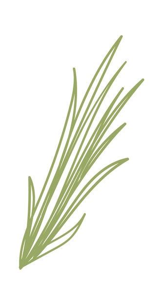 Vector green onion feathers icon vector illustration