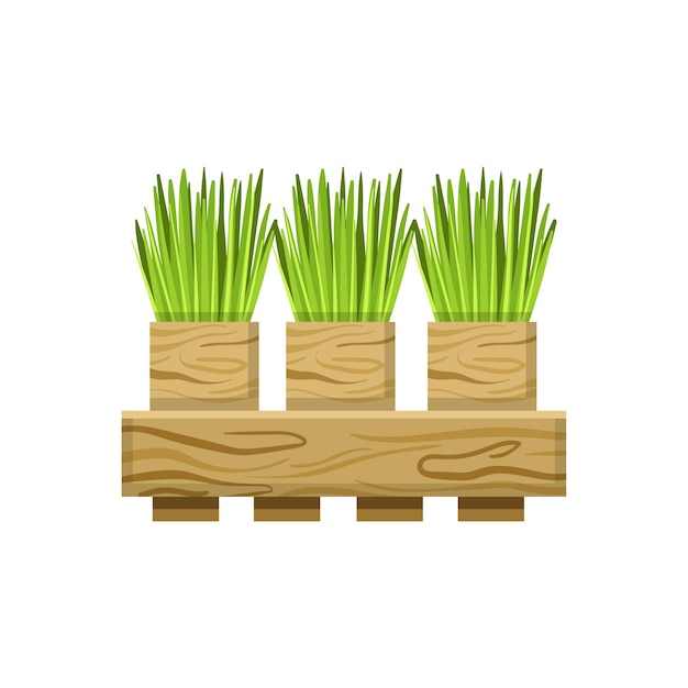 Green Onions In Crate