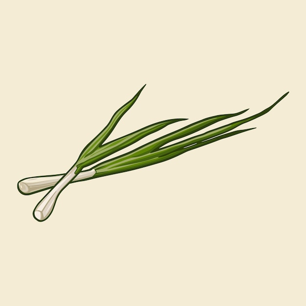 Vector green onions