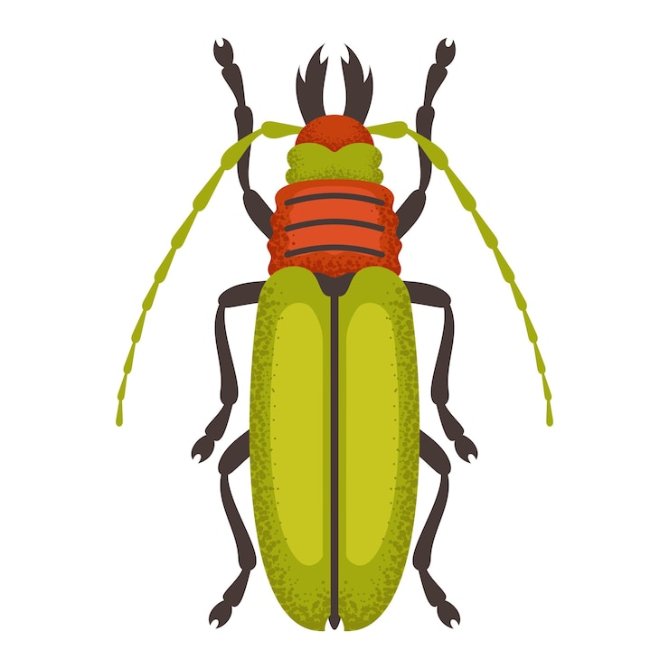 Vector green and orange bug