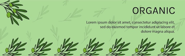 Зеленый органический баннер с оливками Шаблоны рисования природного узора Листья оливковой ветви зеленые