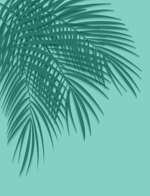 Green Palm Leaf Vector Background Illustration. EPS10