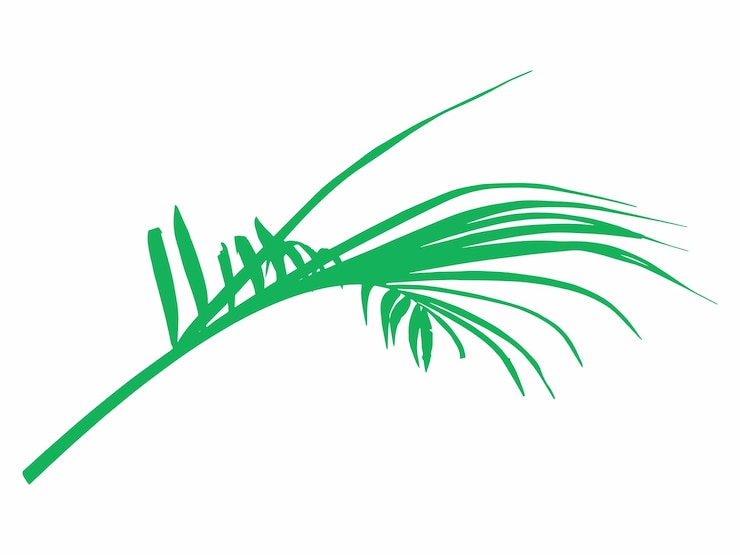Vector a green palm leaf with the word  t  on it