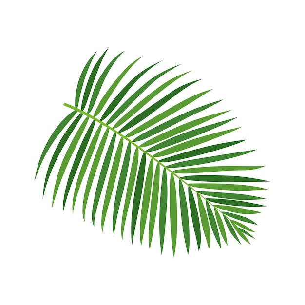 Illustrazione vettoriale del congedo di palma verde elemento di design delle piante tropicali