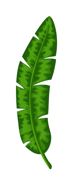 흰색 배경에 고립 된 녹색 야자수 잎