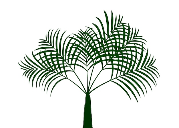 green palm tree vector tropical palm leaf icon image vector illustration design black and white