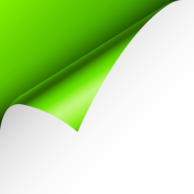 벡터 녹색 종이 곱슬 곱슬 페이지 모이 그림자 빈 종이 다채로운 반이는 포일 디자인