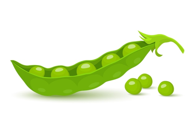 Vector green pea. green peas pods isolated on white background, vector flat style