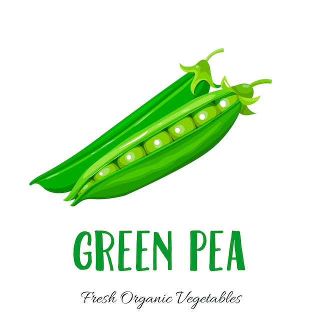  green pea