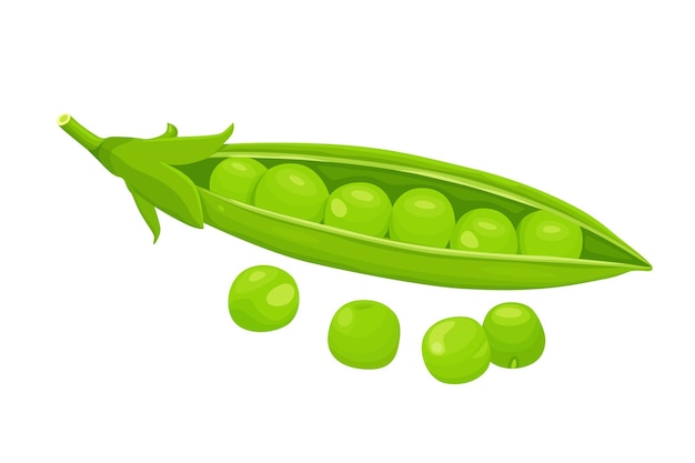 Green peas isolated on white background Vector eps 10