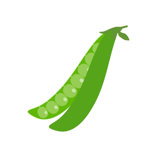  콩 (Pea pisum sativum) 에서 분리 된 초록 콩