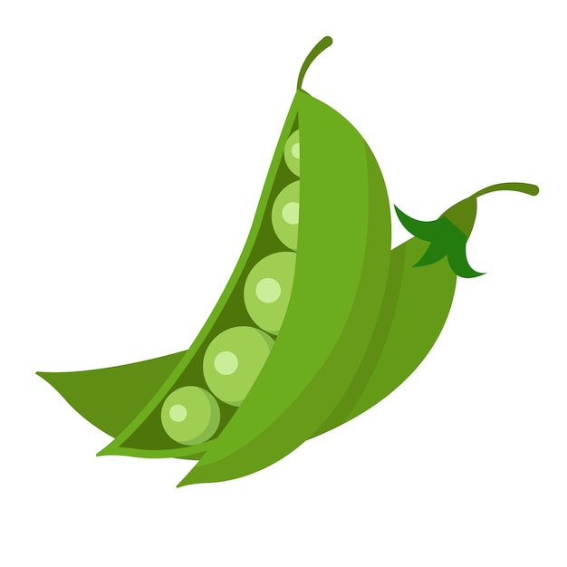 green peas vegetables healthy vegan agriculture farm product