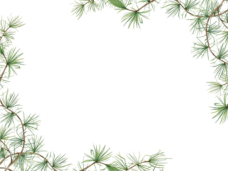 Vector green pine branches european larch or larix tree larix decidua beautiful horizontal border with nature theme watercolor illustration copy space for text botanical elements for festive cards