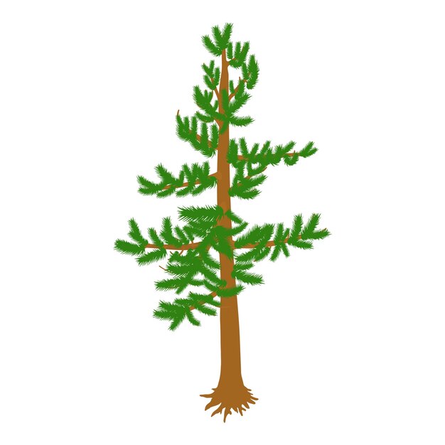 Vector green pine icon isometric vector freestanding evergreen coniferous tree icon plant nature flora environment