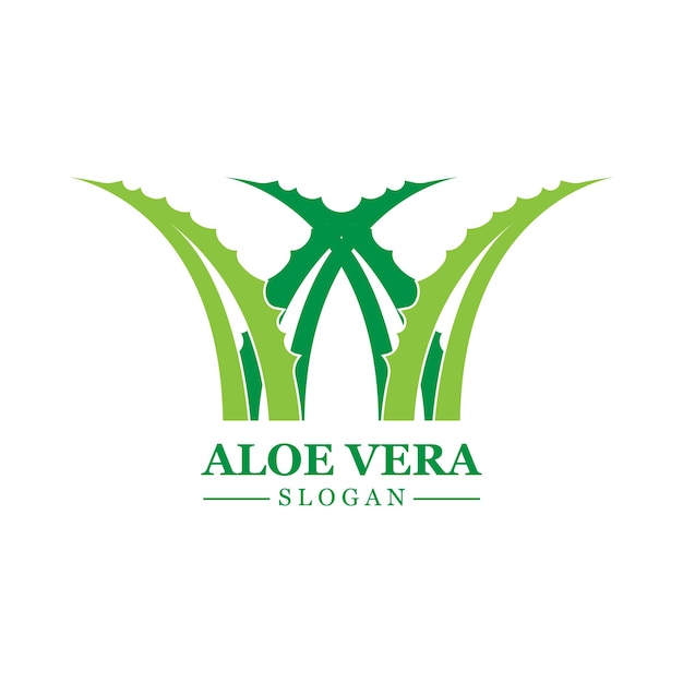 Символ вектора логотипа зеленого растения алоэ вера много преимуществ