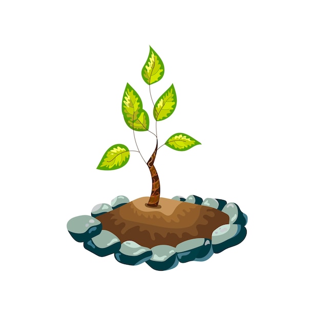 Green plant in the rocks on a white background vector illustration isolated