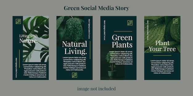 Vector green plants social media story