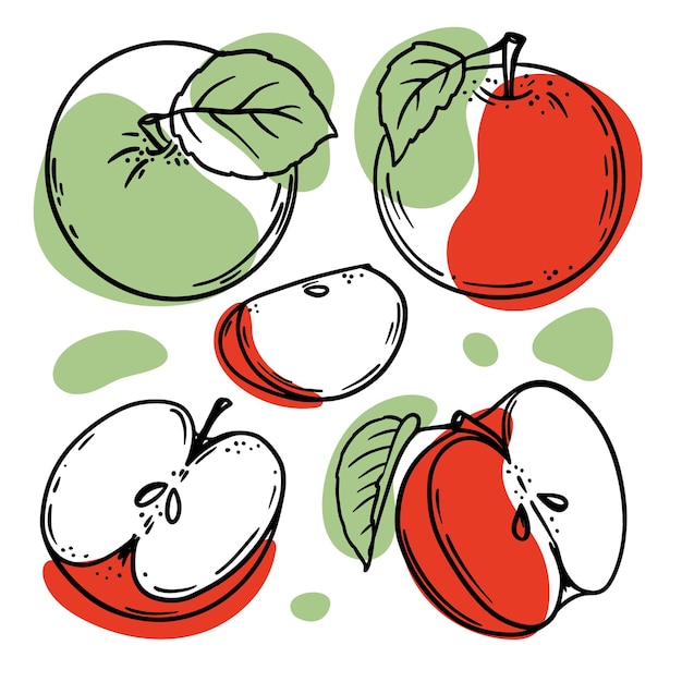 녹색 빨강 사과 맛있는 과일 전체 및 잎 조각