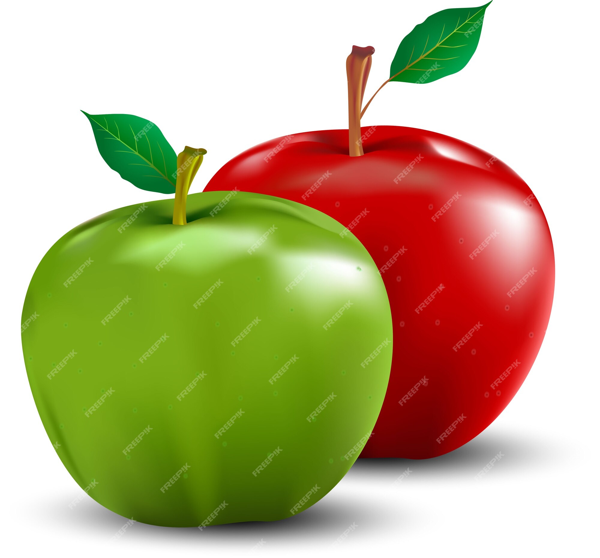 https://img.freepik.com/premium-vector/green-red-realistic-apples-leaves_33040-160.jpg?w=2000