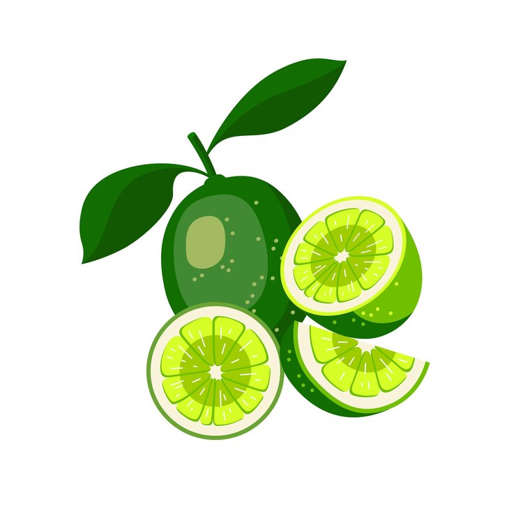 Vector green and ripe lemon fruits with slice vector illustration
