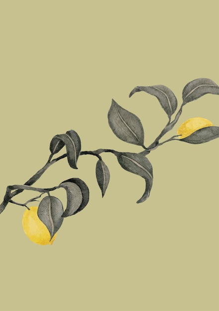 Vector green sage background with lemon tree illustrator