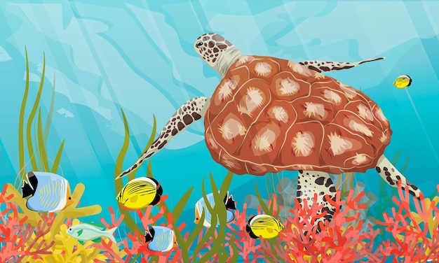 벡터 녹색 바다 거북은 산호초 근처에서 수영합니다 사실적인 벡터 수중 풍경
