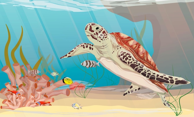 녹색 바다 거북은 수중 바위 근처에서 열대어와 조류와 함께 바다에서 수영합니다