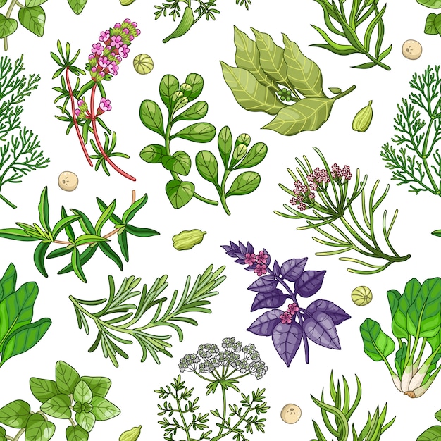 green seamless pattern with herbs on white