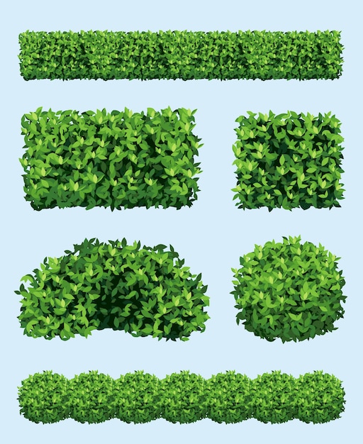 Green shrub Realistic garden plants different geometric forms ornament fence decoration decent vector shrubs collection set