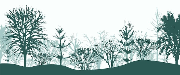 Vector green silhouettes of trees in forest background