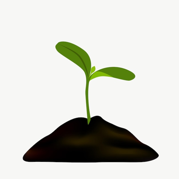 Vector green sprout in soil