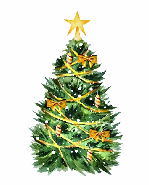 Green spruce hand drawn in watercolor isolated on a white background Watercolor Christmas tree