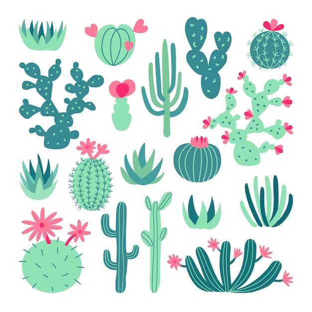 Green succulent illustration set