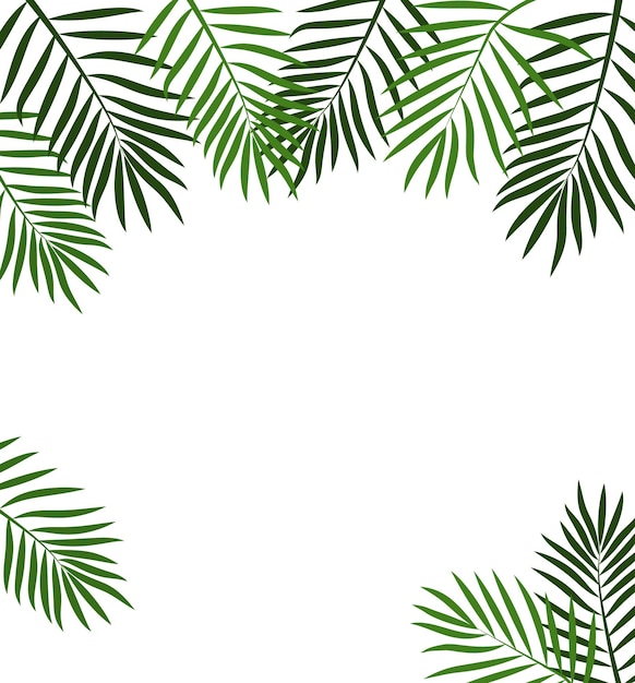 Green summer tropical background with exotic palm leaves and plants Vector floral background