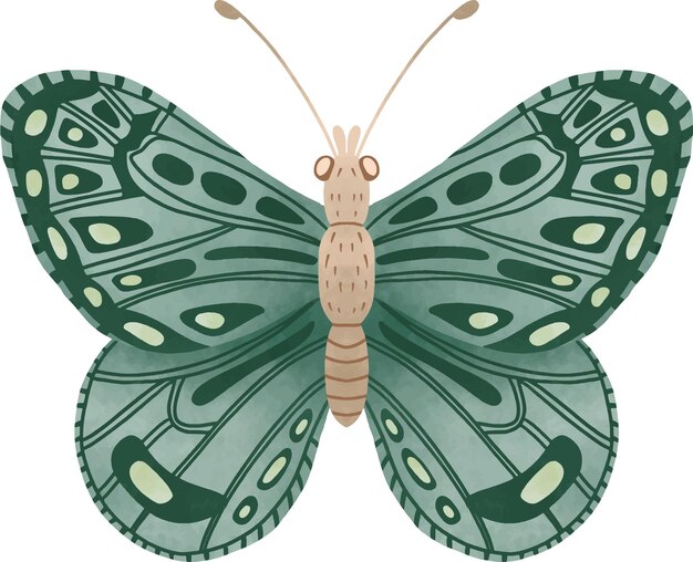 Vector green symmetrical butterfly illustration