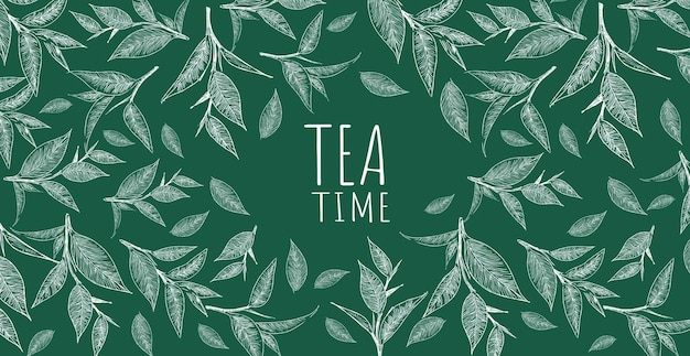 Green tea background Hand drawn illu