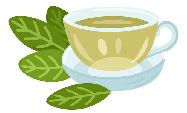 Green tea in cup Tasty healthy hot drink Vector isolated illustration