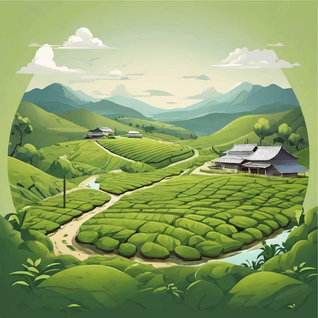 Green tea farm vector illustration